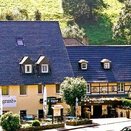 Waldhotel Im Wiesengrund 3*