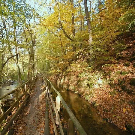 Waldhotel Im Wiesengrund Hürtgenwald