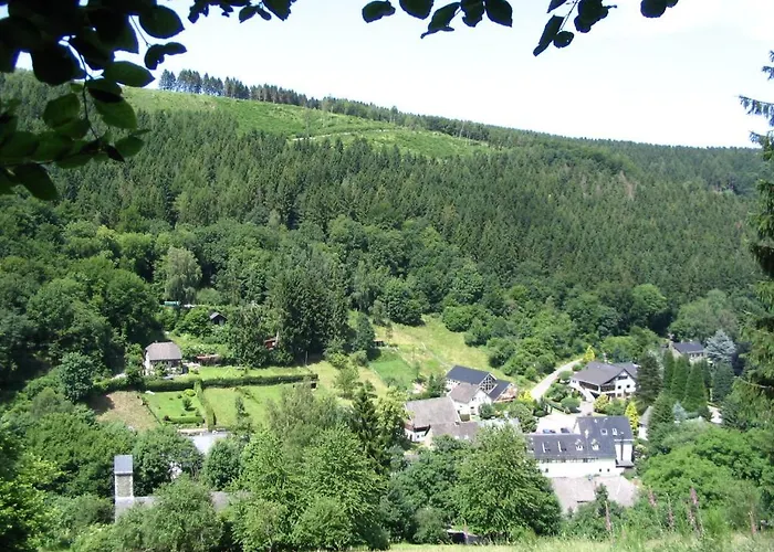 Hotel Waldhotel Im Wiesengrund 3*