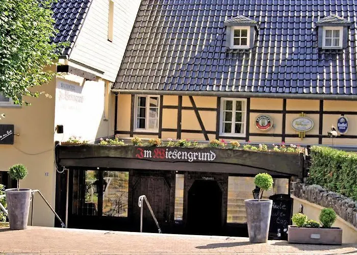 Waldhotel Im Wiesengrund Hotel 3*