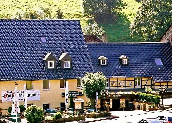 Waldhotel Im Wiesengrund 3*