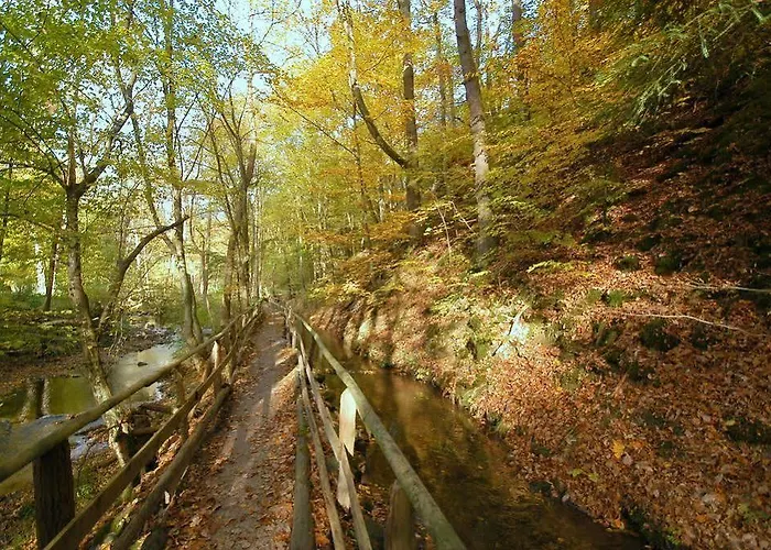 Waldhotel Im Wiesengrund Hürtgenwald